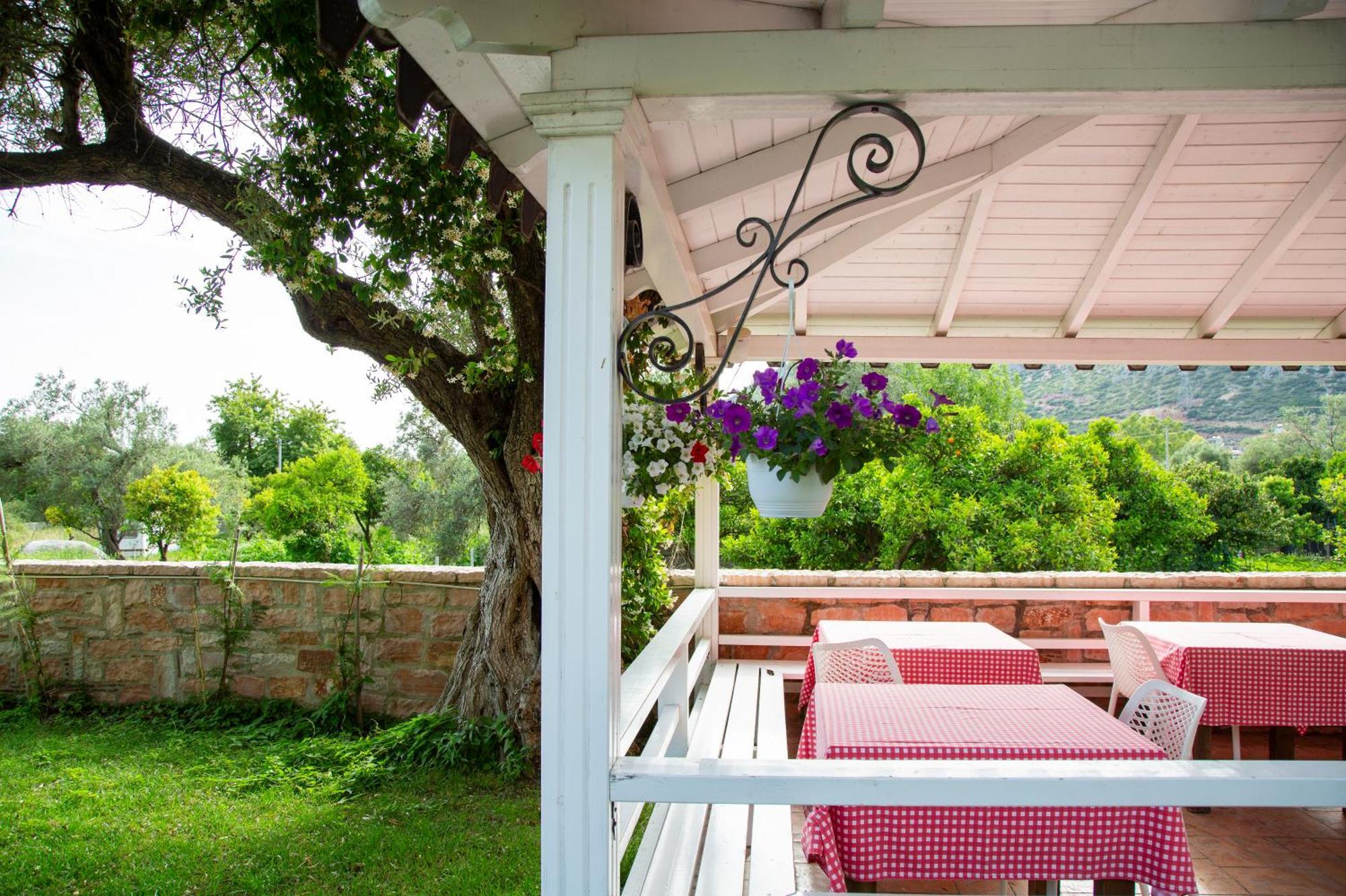 Vila Florika Hotel Borsh Exterior photo