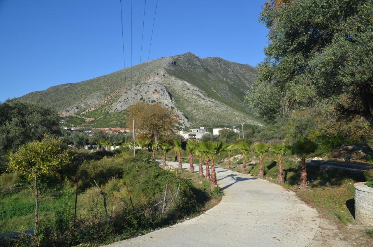 Vila Florika Hotel Borsh Exterior photo